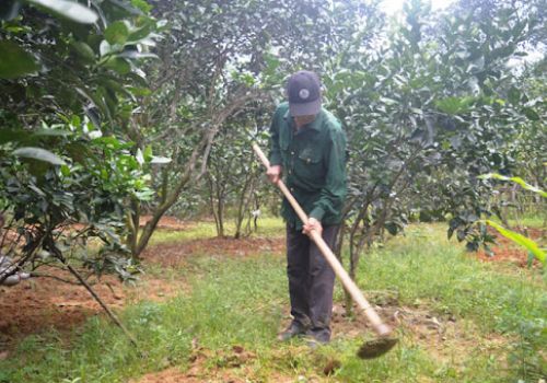 Ông PHẠM VĂN TRUNG, 70 tuổi.