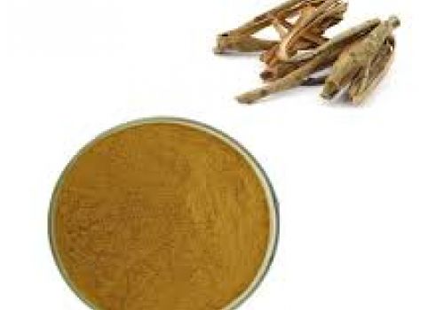 Giảm đau nhức xương khớp với chiết xuất vỏ cây liễu trắng