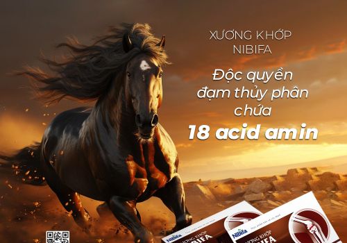 Hết đau nhức vai gáy do phong thấp bằng đông y