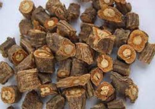 PHÒNG PHONG, VỊ THUỐC PHÒNG TRỊ ĐAU NHỨC XƯƠNG KHỚP DO PHONG TÀ