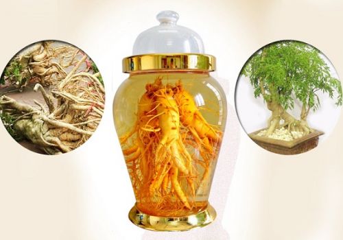 Chữa đau lưng thoát vị đĩa đệm bằng cách nào?