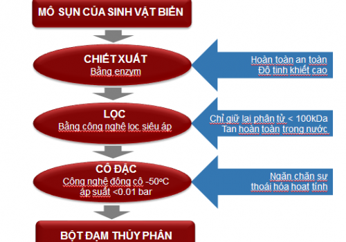 Hy vọng mới cho hàng ngàn người bị đau nhức xương khớp