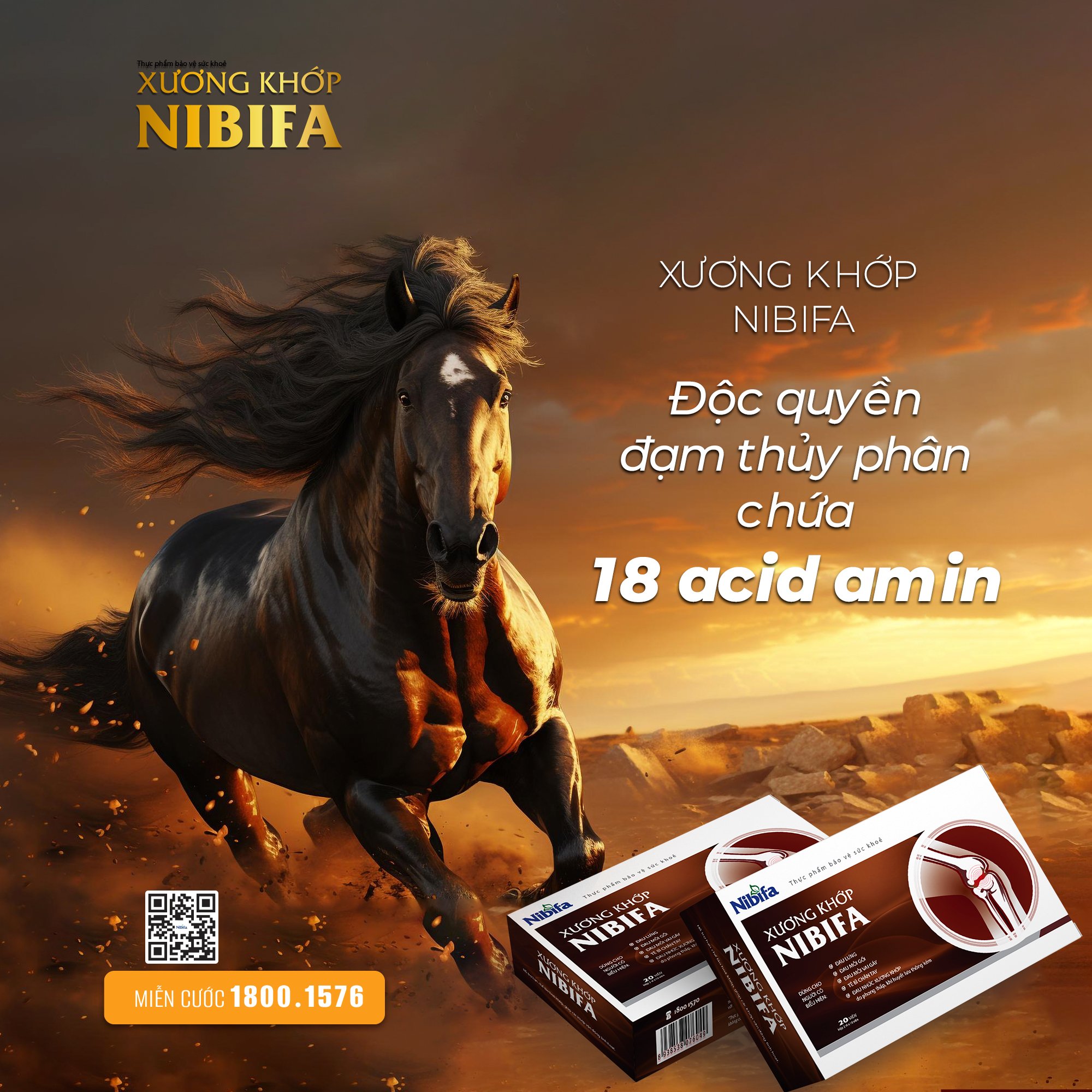 Xương Khớp Nibifa độc quyền đạm thuỷ phân_1