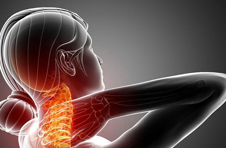 Xương khớp Nibifa_1