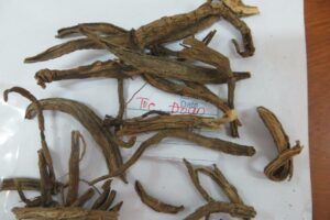 13247896_965224376929612_5597767852213384047_o-300x200