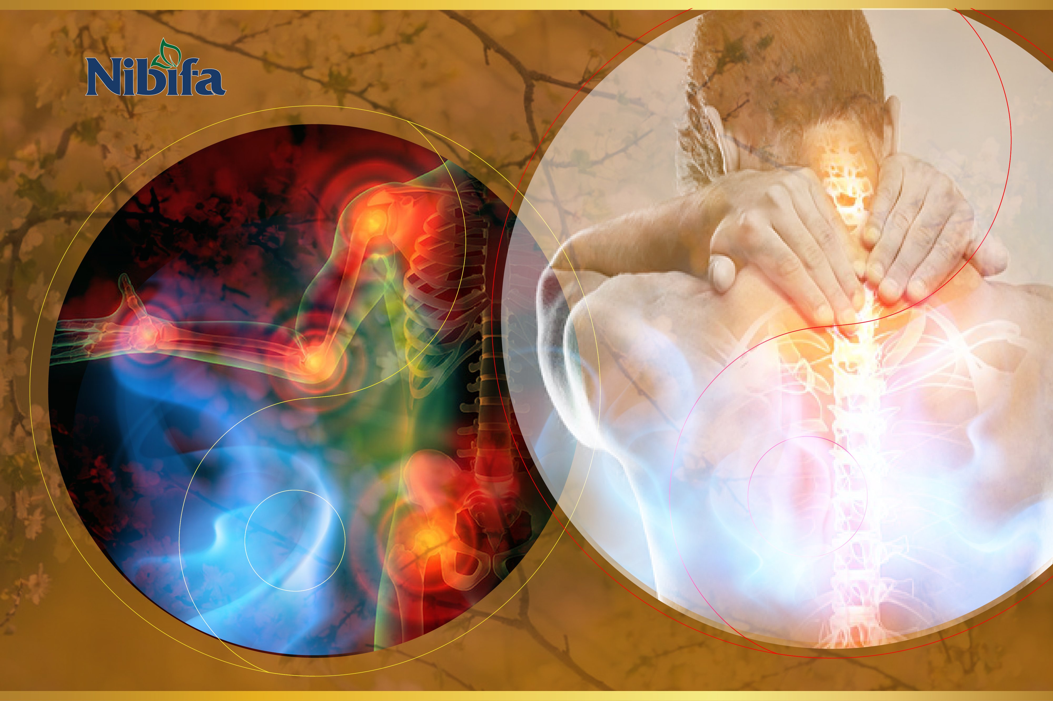 z4024702868107_8042f89fd2e73fad349da44f44a39670